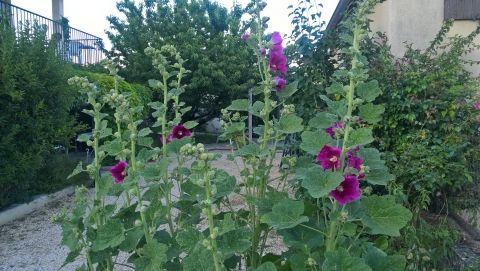 Gite de groupe pour 16 personnes en sud Ardeche